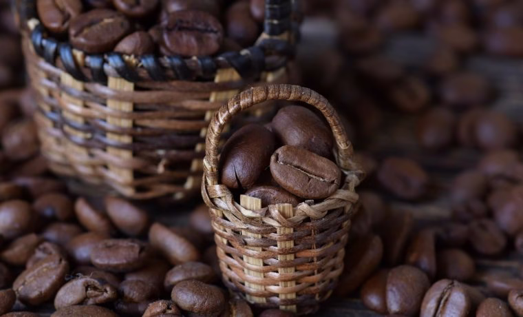 microlotes de cafe