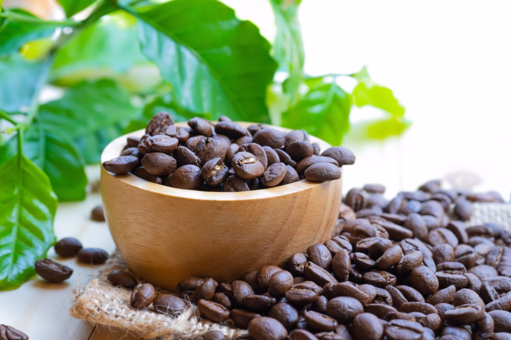 coffee-bean-medium-roasted-in-wooden-bowl-1024x682 Torras de Café: Guia Completo para Escolher a Ideal