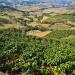 Terroir do Café