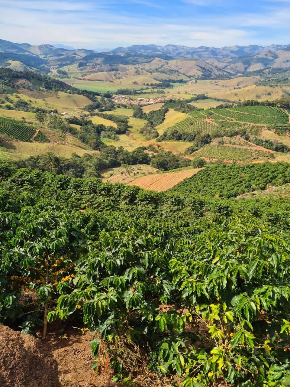 Terroir do Café