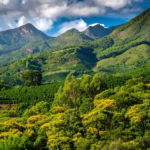 Café nas alturas