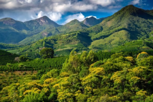 Café nas alturas