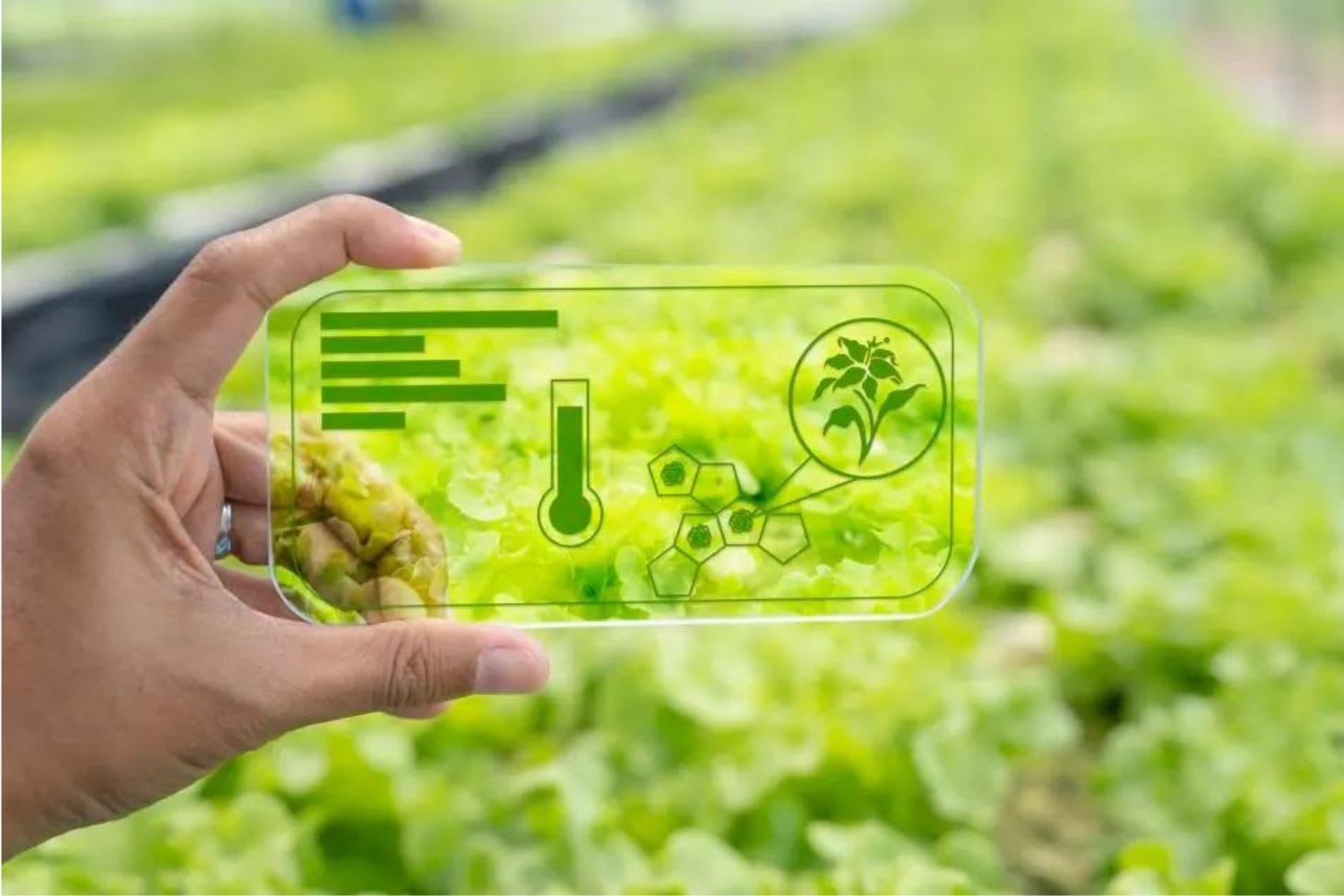 19248592079622f03995362620fb8fc124be0f9f O Uso da Inteligência Artificial no Mundo do Café: Revolução Tecnológica da Fazenda à Xícara