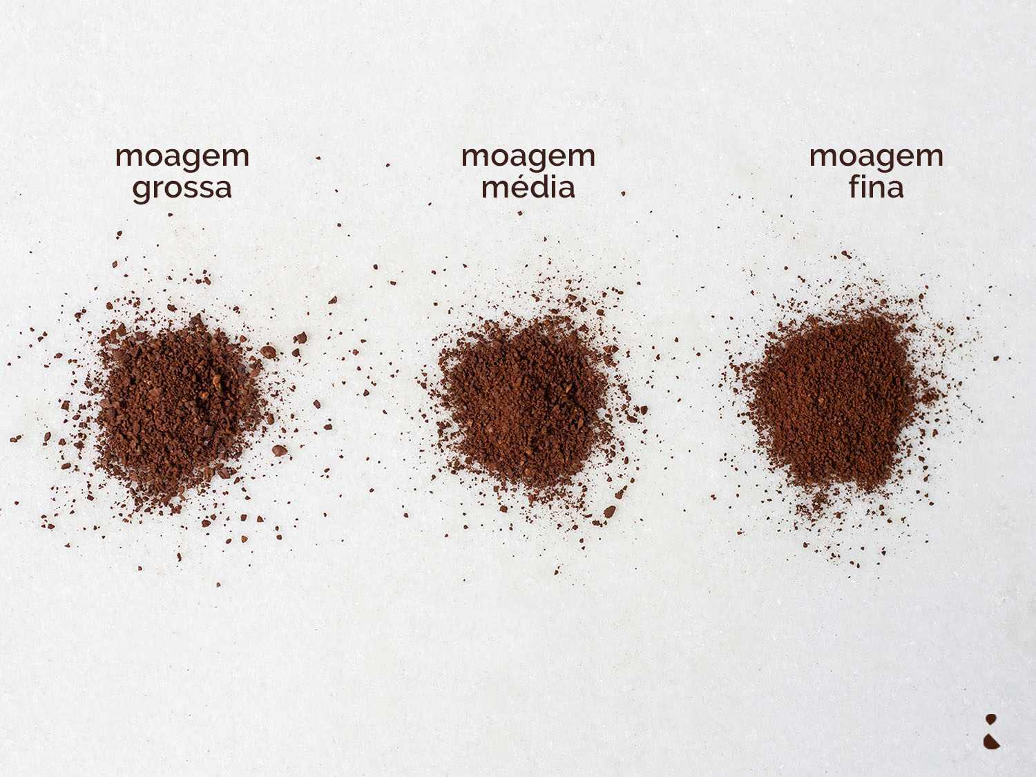 29ed99ad8f092ab7091ddd235b4e5748fbbe6907 Do Terroir à Xícara de Café: Os Caminhos que Definem a Bebida Mais Amada do Brasil