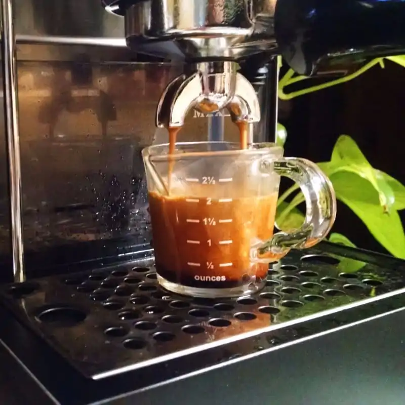 2f623380512b3406bf9c76d76e249a4592a48446 Review Completo da Gaggia Classic Espresso: Vale o Investimento em 2025?