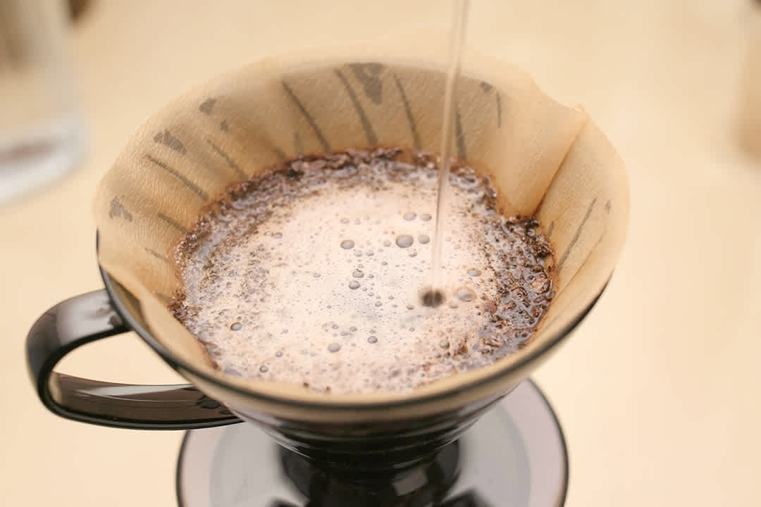 b7c577506ad57b077e4ec583a97b9aaaab58ca78 Do Terroir à Xícara de Café: Os Caminhos que Definem a Bebida Mais Amada do Brasil