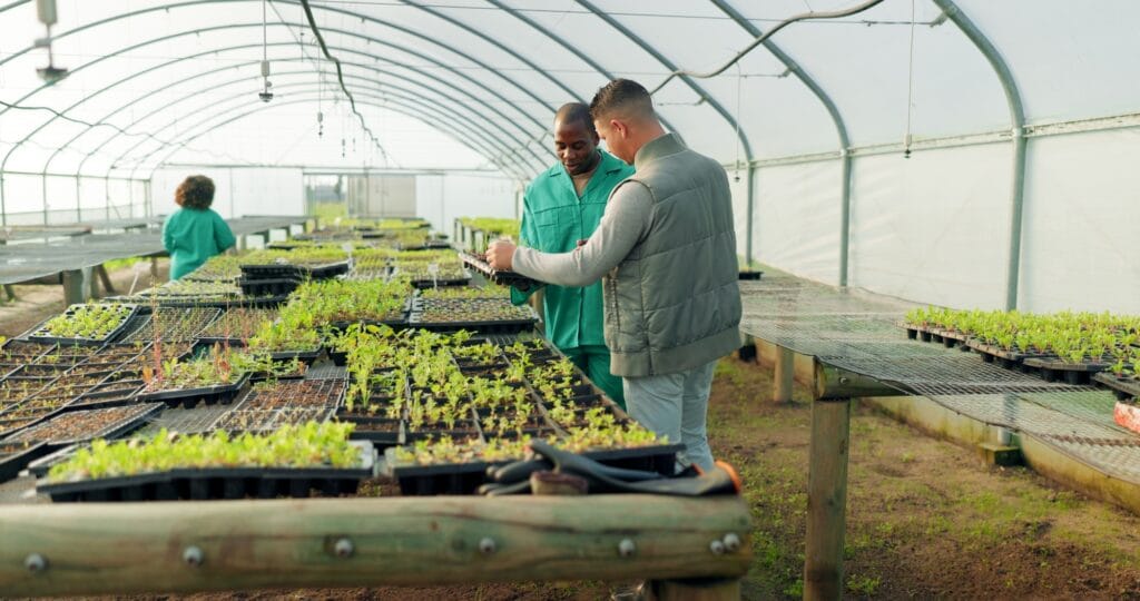 greenhouse-agriculture-and-farm-employees-with-plants-to-check-growth-quality-assurance-and-food-1024x540 Toda a Cadeia de Sustentabilidade do Café: Transformando o Futuro da Cafeicultura Brasileira