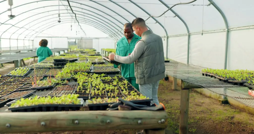 greenhouse-agriculture-and-farm-employees-with-plants-to-check-growth-quality-assurance-and-food-1024x540 Toda a Cadeia de Sustentabilidade do Café: Transformando o Futuro da Cafeicultura Brasileira