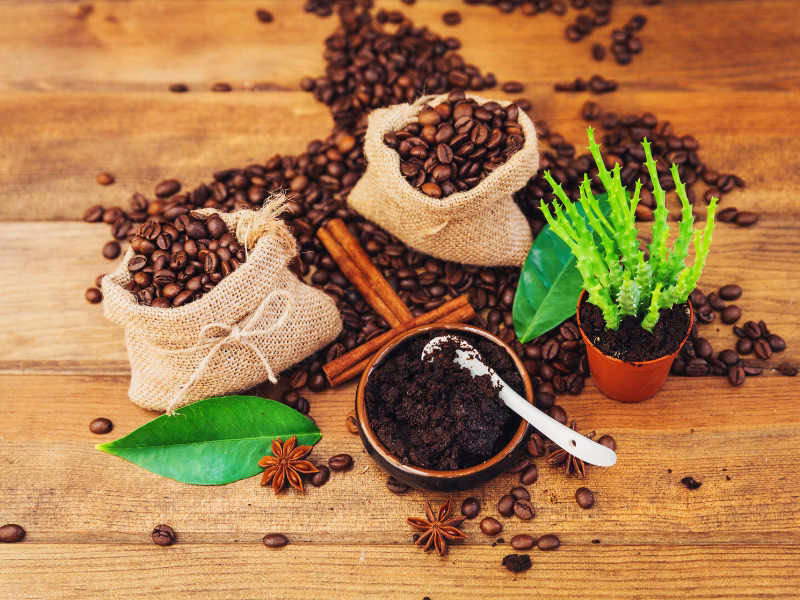 image-37 10 Curiosidades sobre Café: Do Cultivo ao Cafezinho na Xícara - PARTE 1