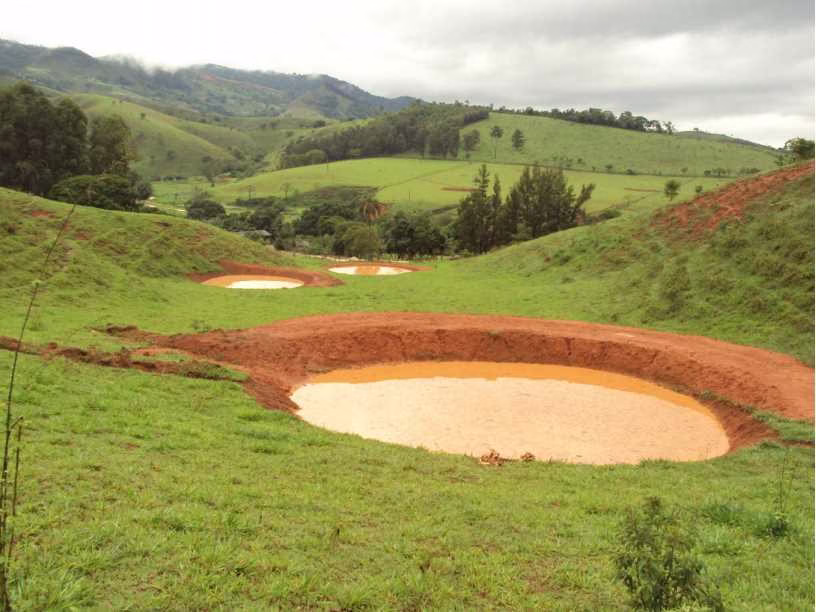 image-6 Sustentabilidade na Cafeicultura Brasileira: Como o País Lidera a Revolução Verde Mundial