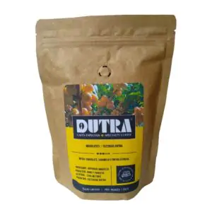 615kHZwKP8L-e1754400124192 Método Syphon de Extração de Café: O Espetáculo Científico na Sua Xícara