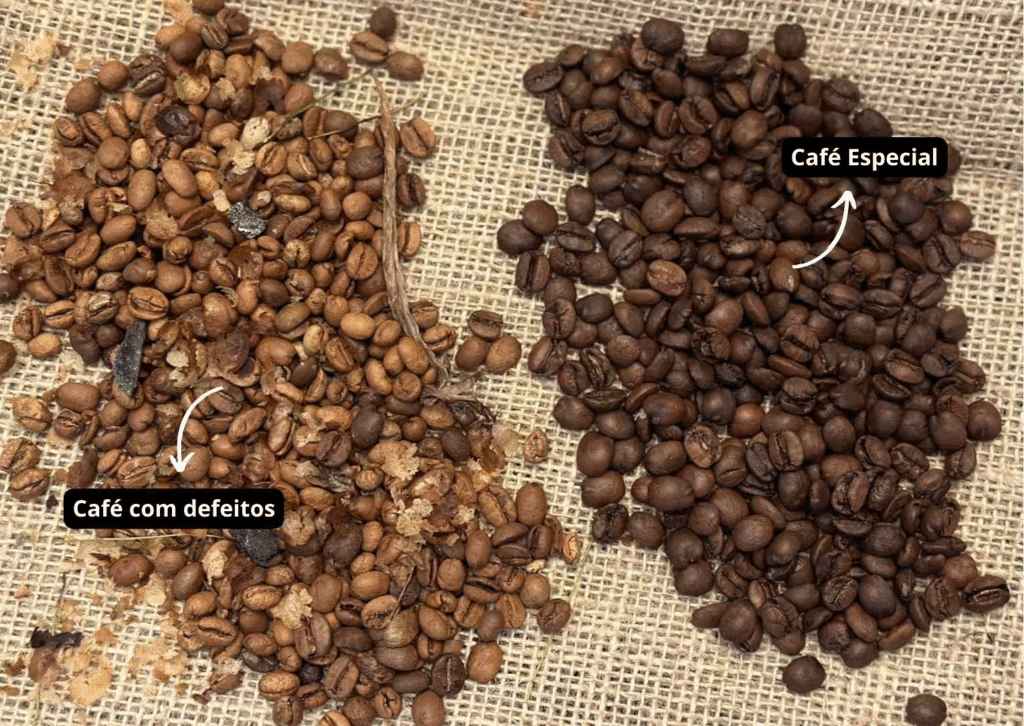 image-10-1024x726 O Que Significa o Café Ser "Extra Forte"? A Verdade que Ninguém Te Contou