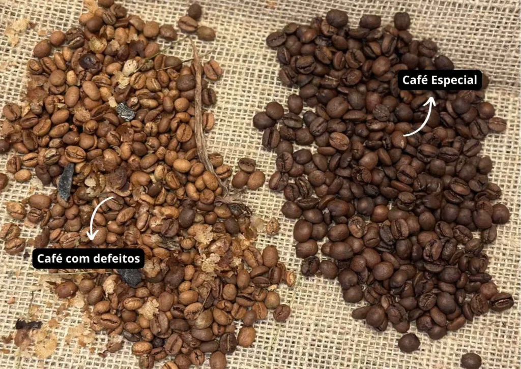 image-10-1024x726 O Que Significa o Café Ser "Extra Forte"? A Verdade que Ninguém Te Contou