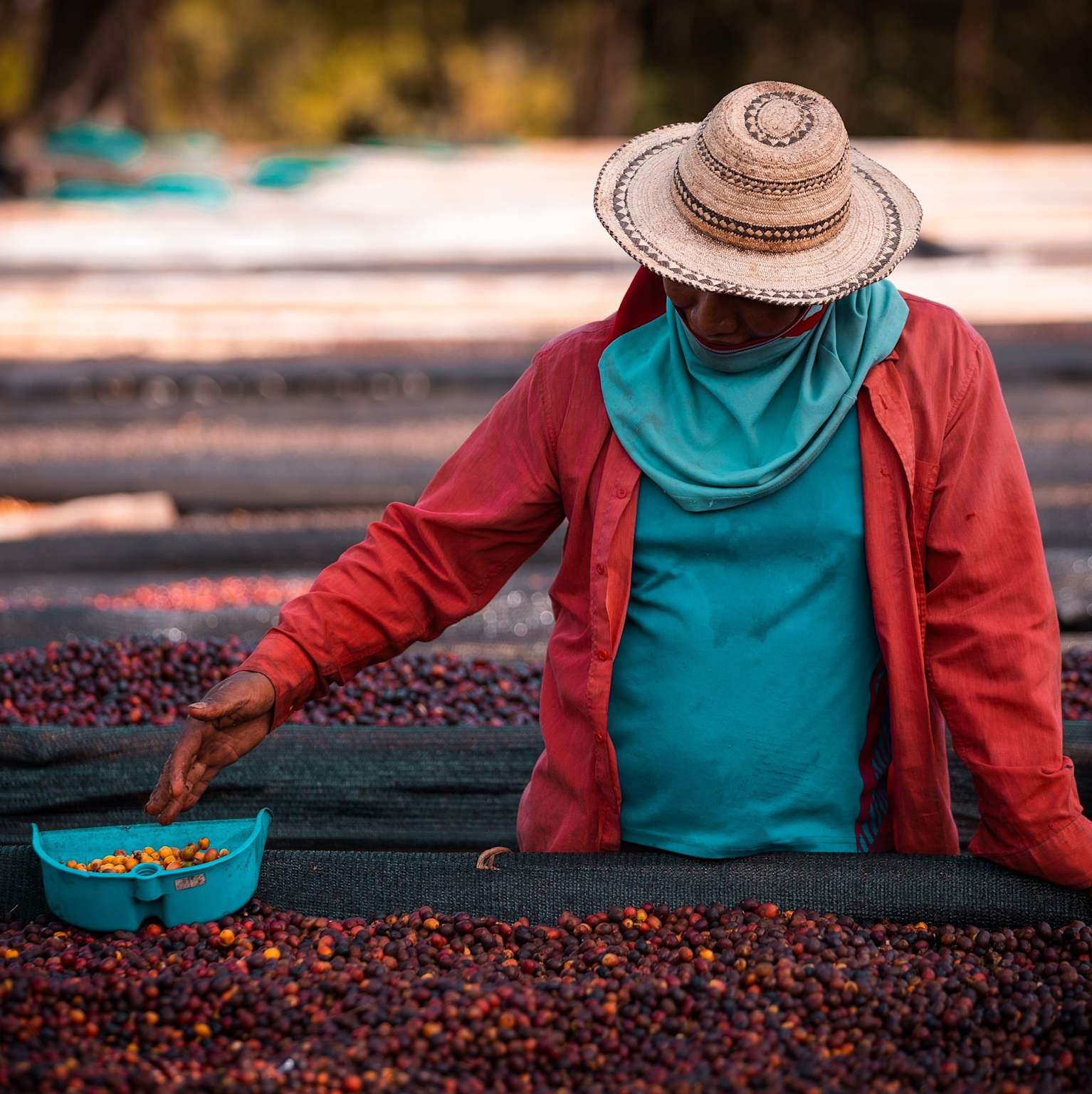 2d8b8350fcda1cd36f86b436555f6370f15efd2f 5 Cafés Mais Caros do Mundo: Do Luxo à Extravagância